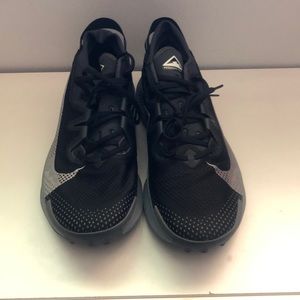 Nike Trail Pegasus 2